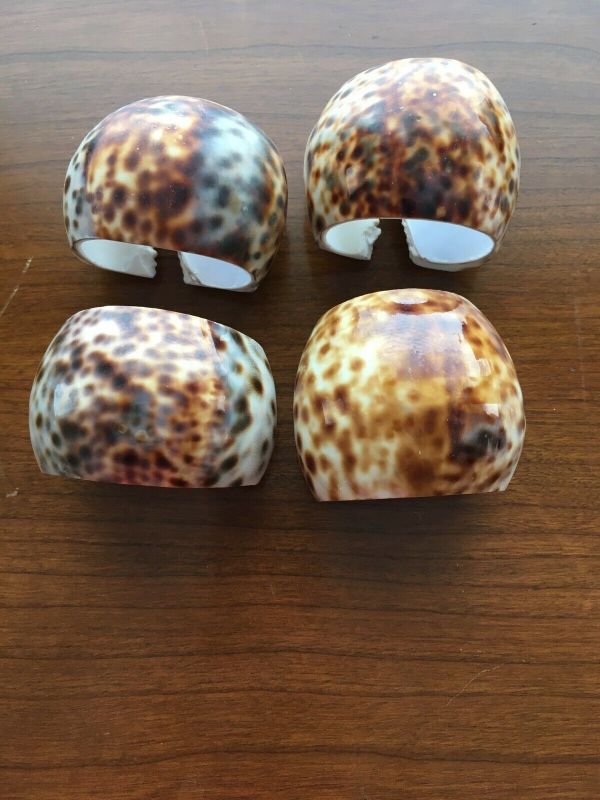 Vintage Set Of 8 Tiger Cowrie Ocean Natural Sea Shell Napkin Rings ...